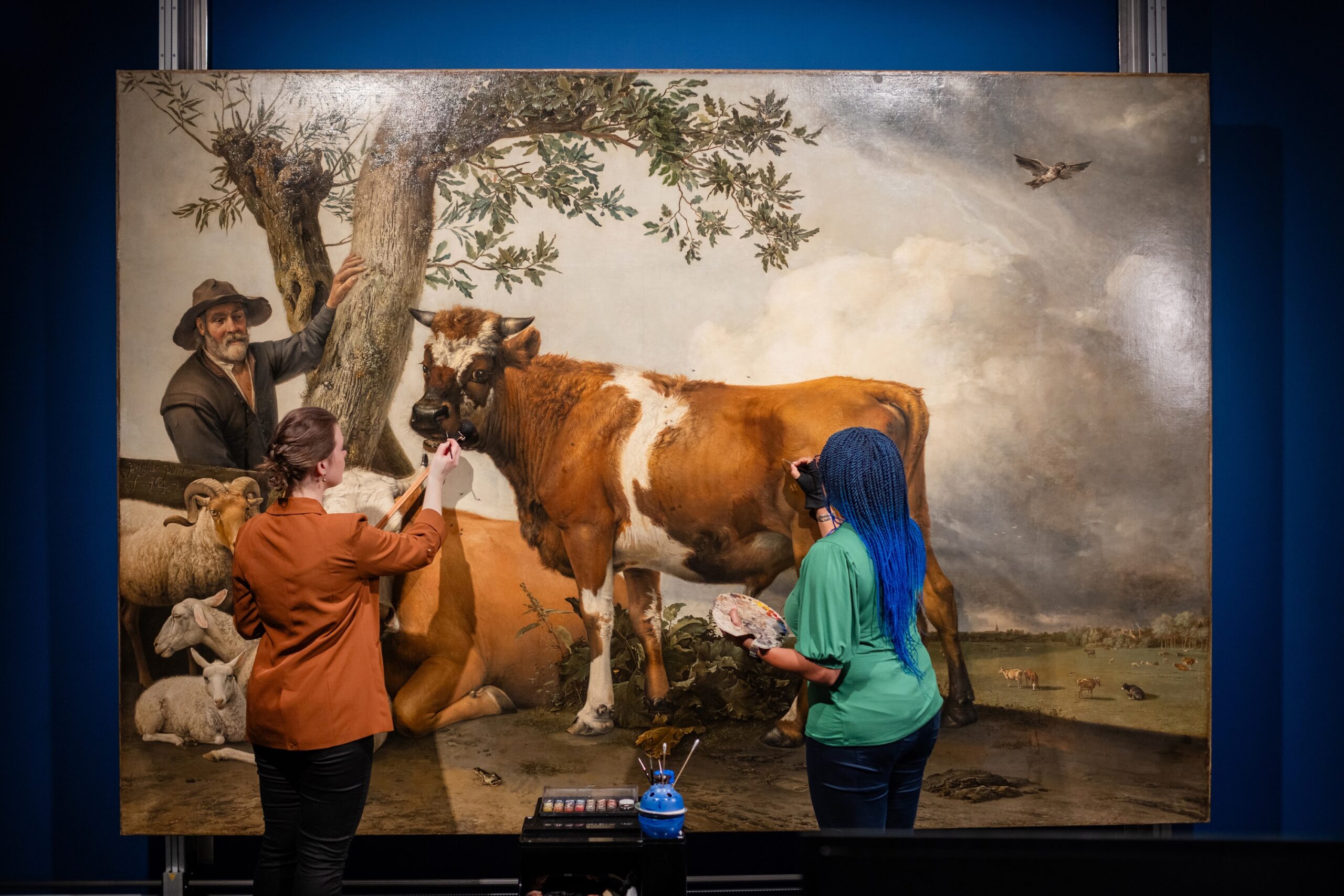 ‘De stier van Potter’ in het Rundveemuseum