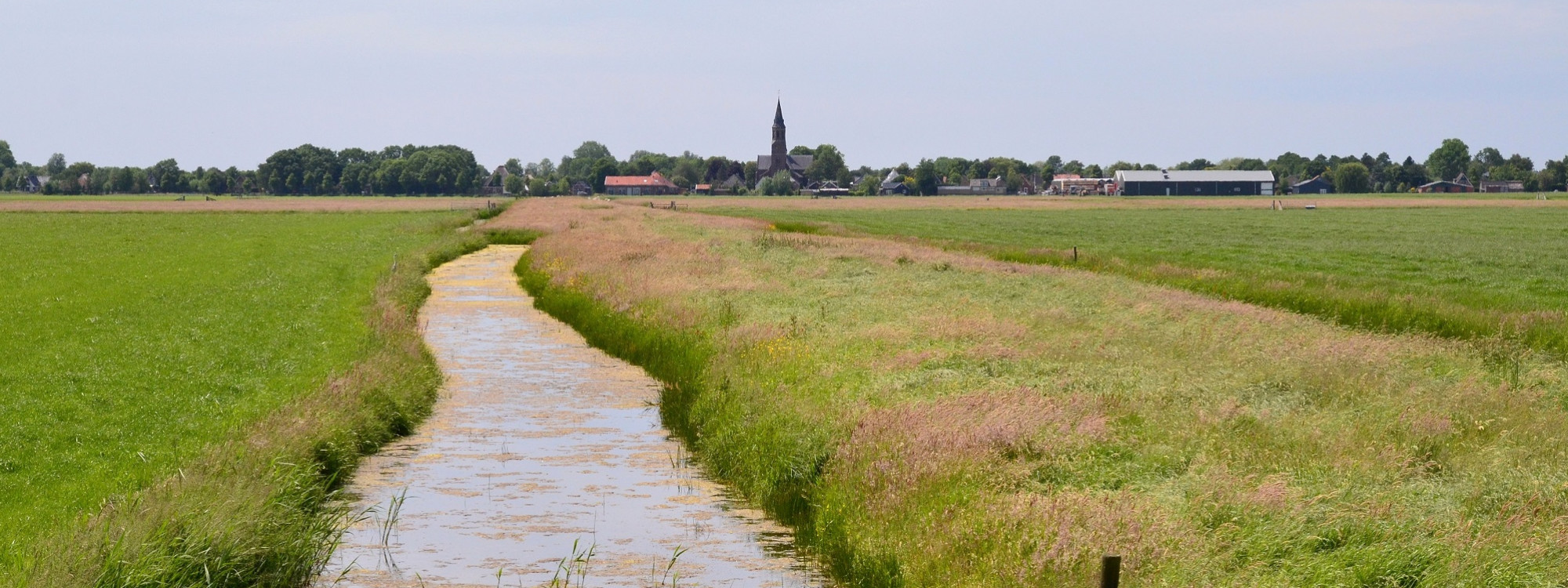 Stichting Hoochhoutwout wil behoudt Wuiver: ‘Verbindt ons met ons verleden’